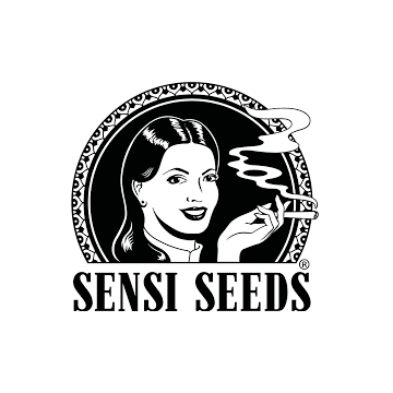 Sensi no.743 CBD Fem.