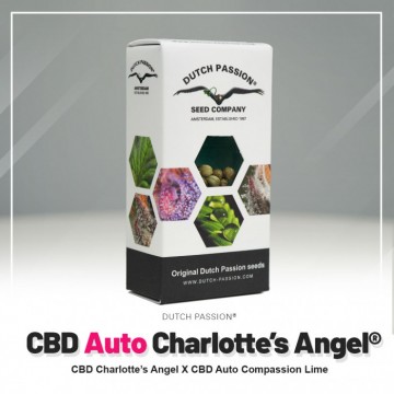 CBD AutoCharlotte's Angel®...