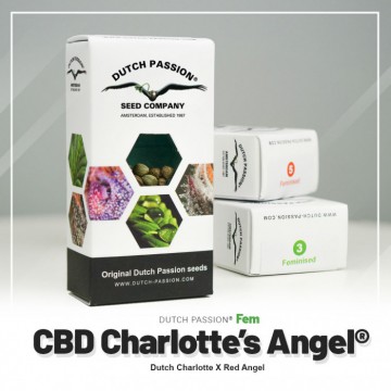 CBD Charlotte's Angel® Fem.